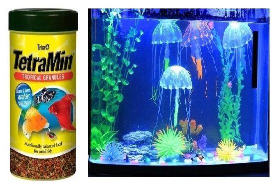FISH AQUARIUM HOME  FISH AQUARIUM HOME 